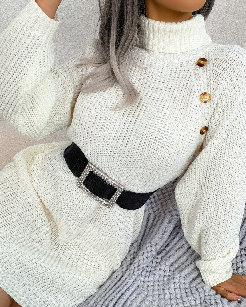 Long Sleeve Buttoned High Neck Sweater Dress