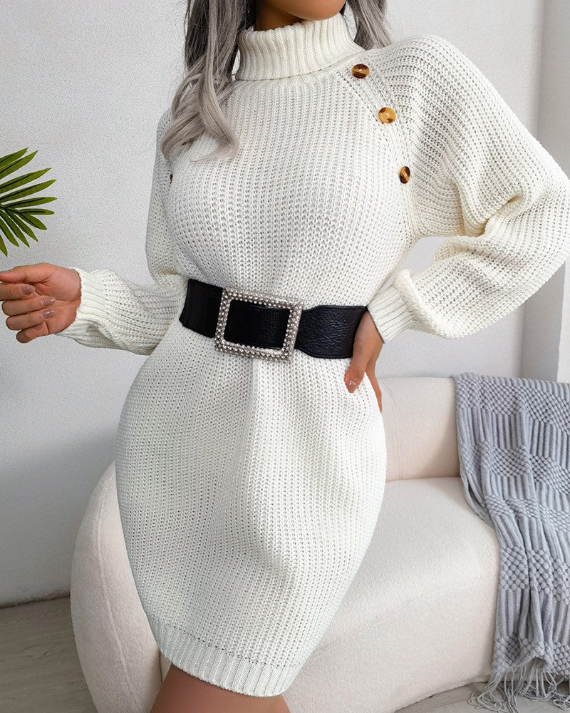 Long Sleeve Buttoned High Neck Sweater Dress